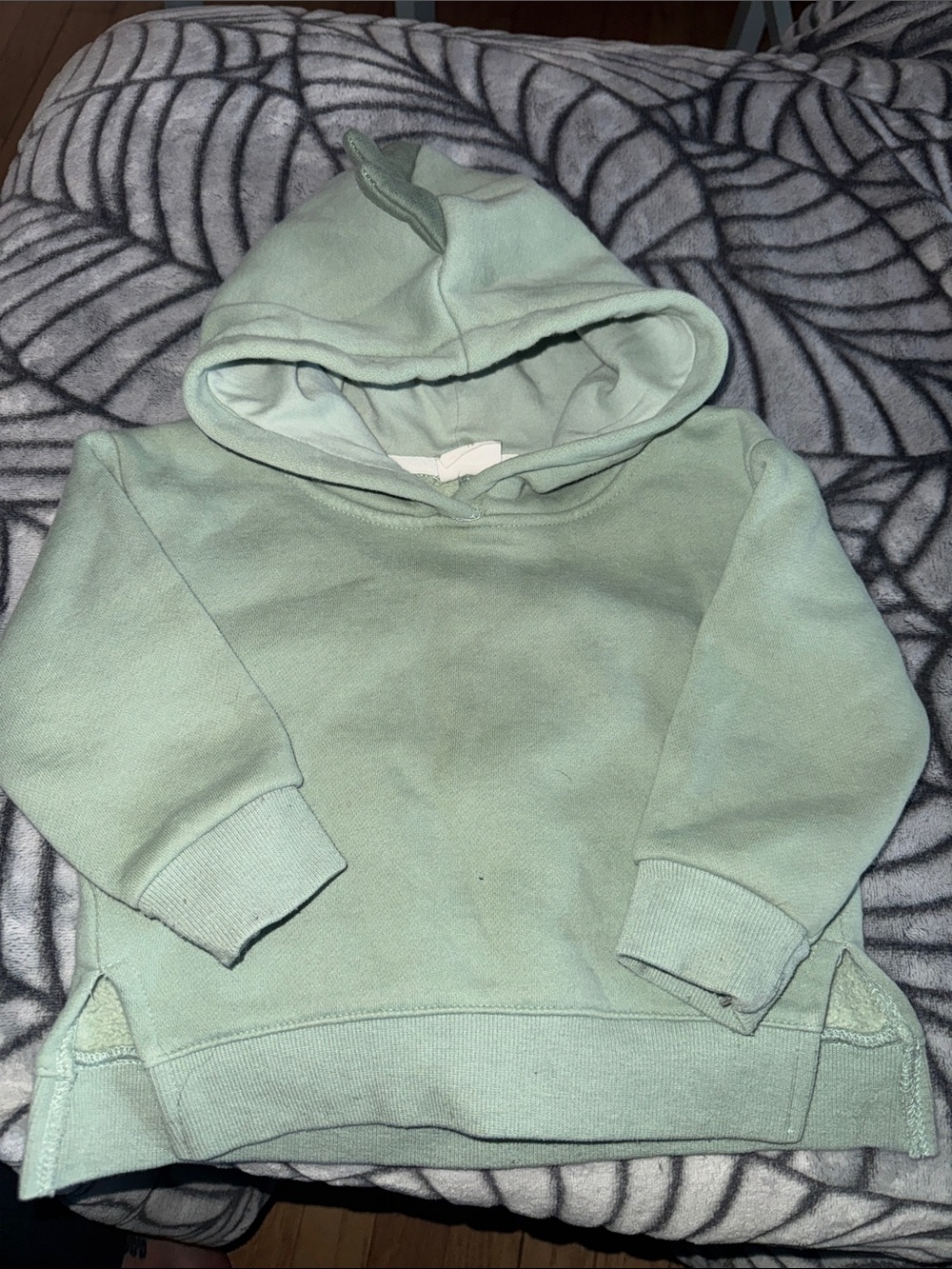 Dino green baby/toddler sweatshirt heavyweight extra warm cozy 2T